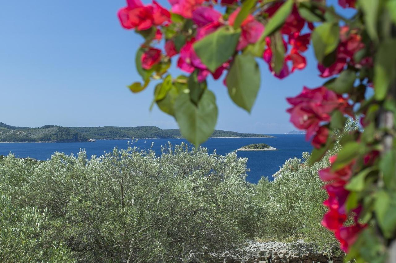 Villa Stone House San Pelegrin Vela Luka Exterior foto
